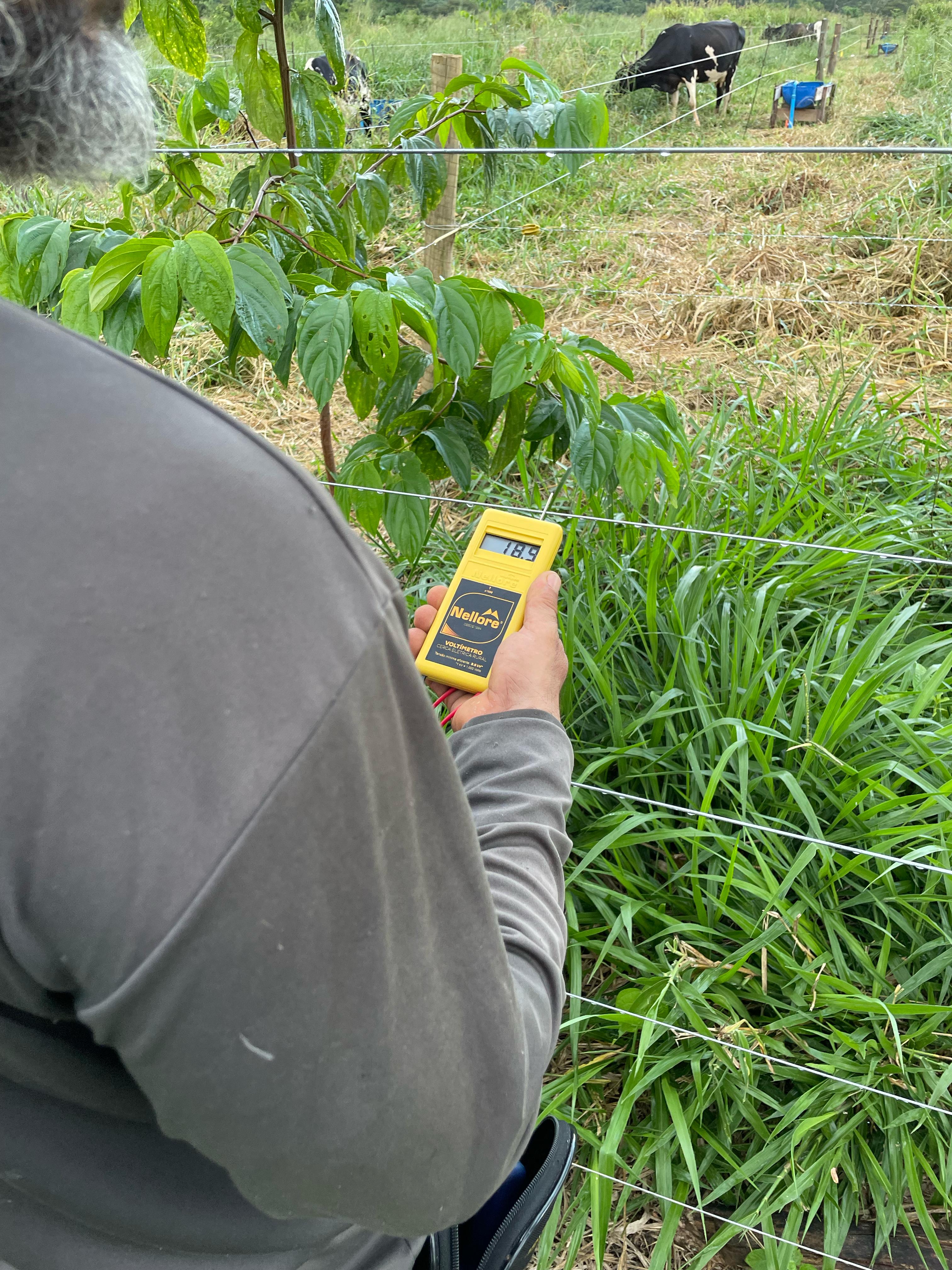 Área Experimental